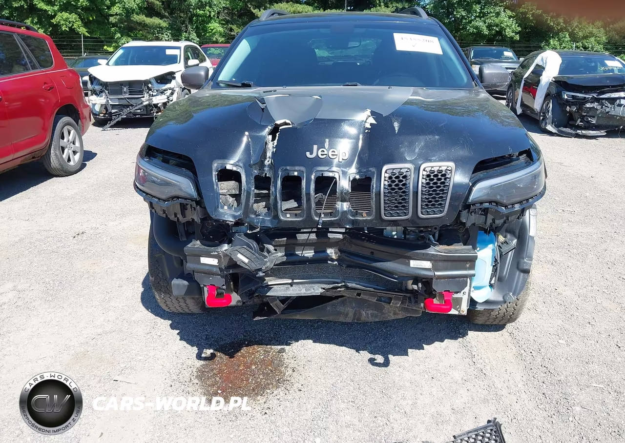 2019 Jeep Cherokee Trailhawk 4X4 VIN:1C4PJMBX3KD257470 - 6
