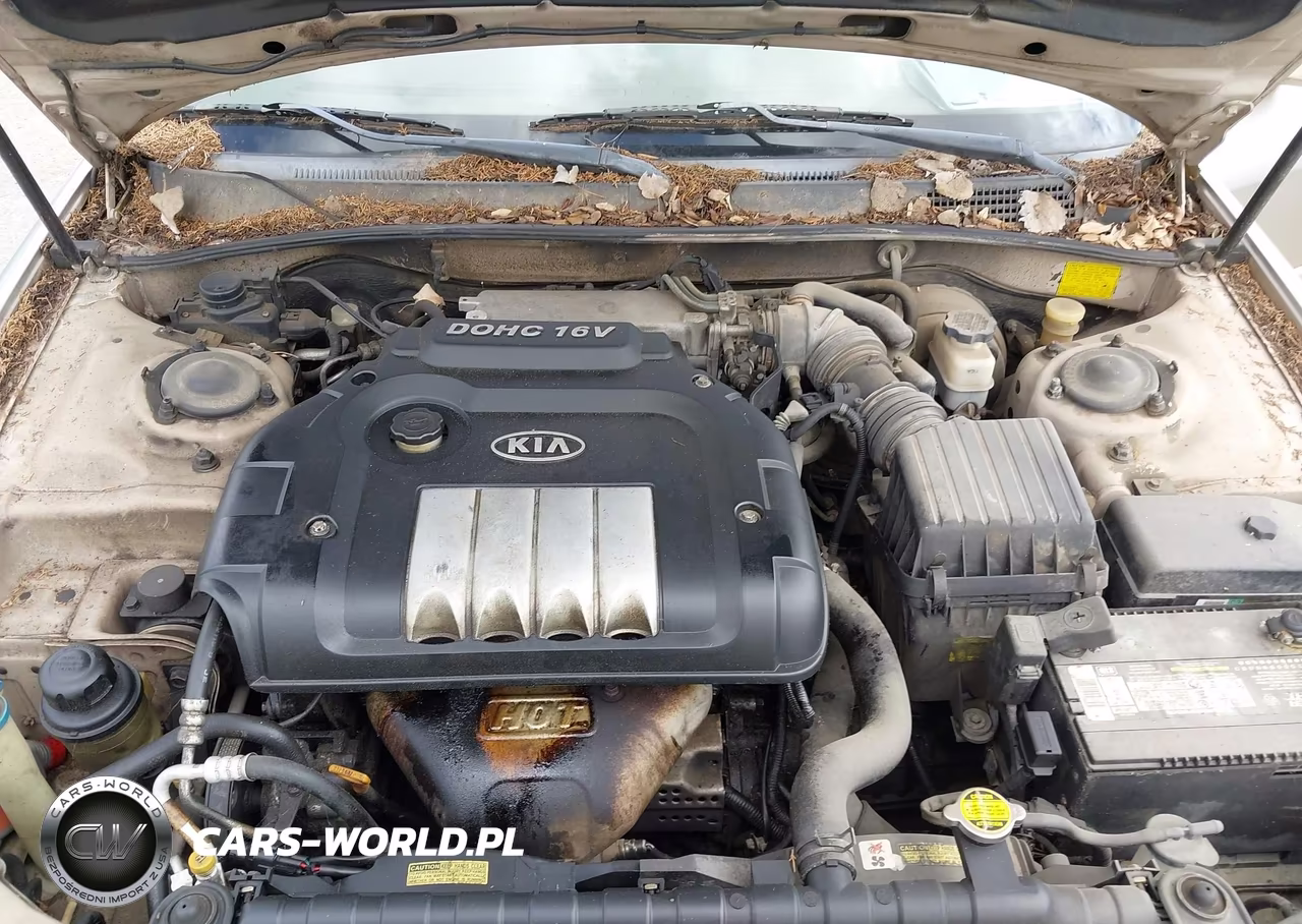 2004 Kia Optima Ex-Lx VIN:KNAGD126645294519 - 10