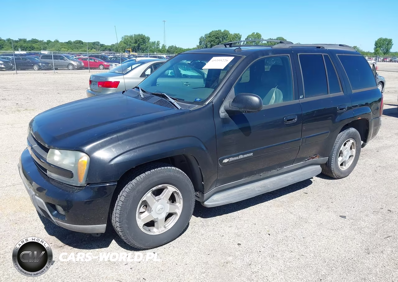 2004 Chevrolet Trailblazer Lt VIN:1GNDT13S842311463 - 2