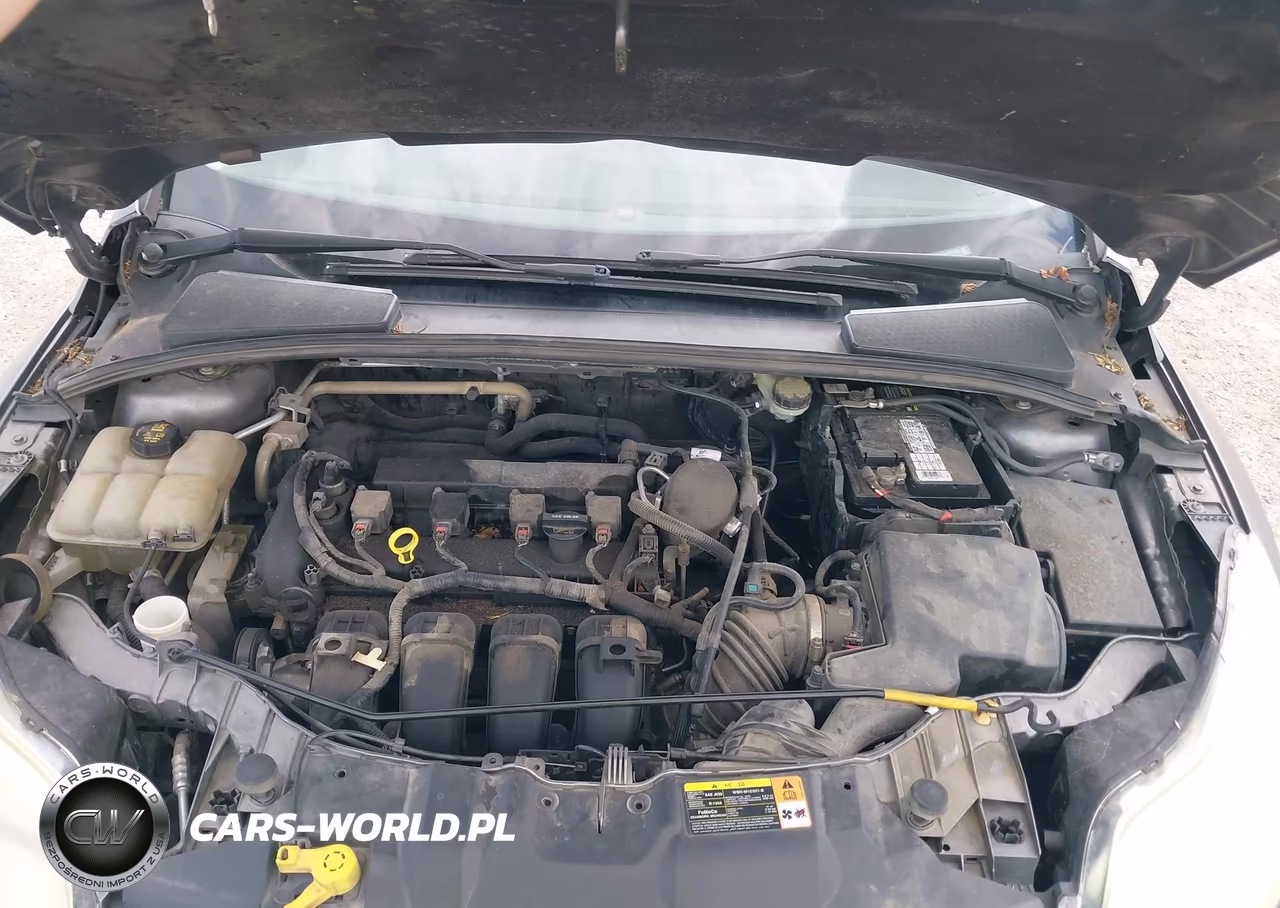 2014 Ford Focus Se VIN:1FADP3F21EL236126 - 10
