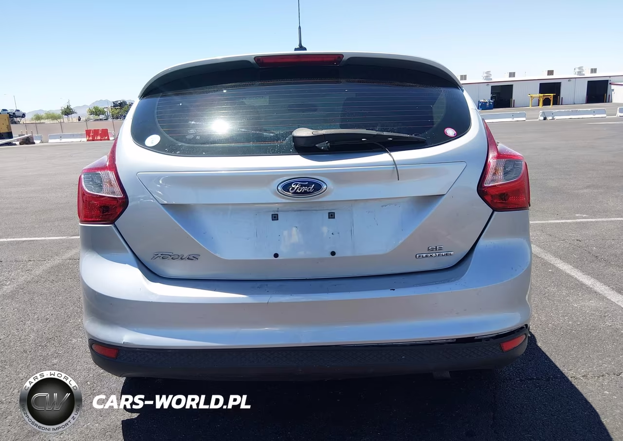 2014 Ford Focus Se VIN:1FADP3K20EL444133 - 16