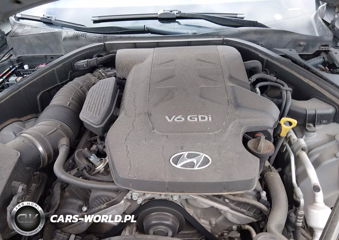 2015 Hyundai Genesis 3.8 VIN:KMHGN4JE1FU015203 - 10