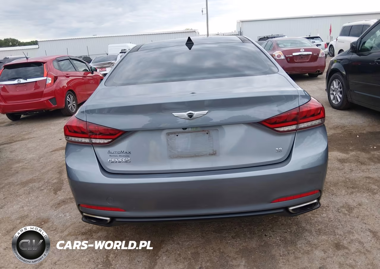 2015 Hyundai Genesis 3.8 VIN:KMHGN4JE1FU015203 - 17