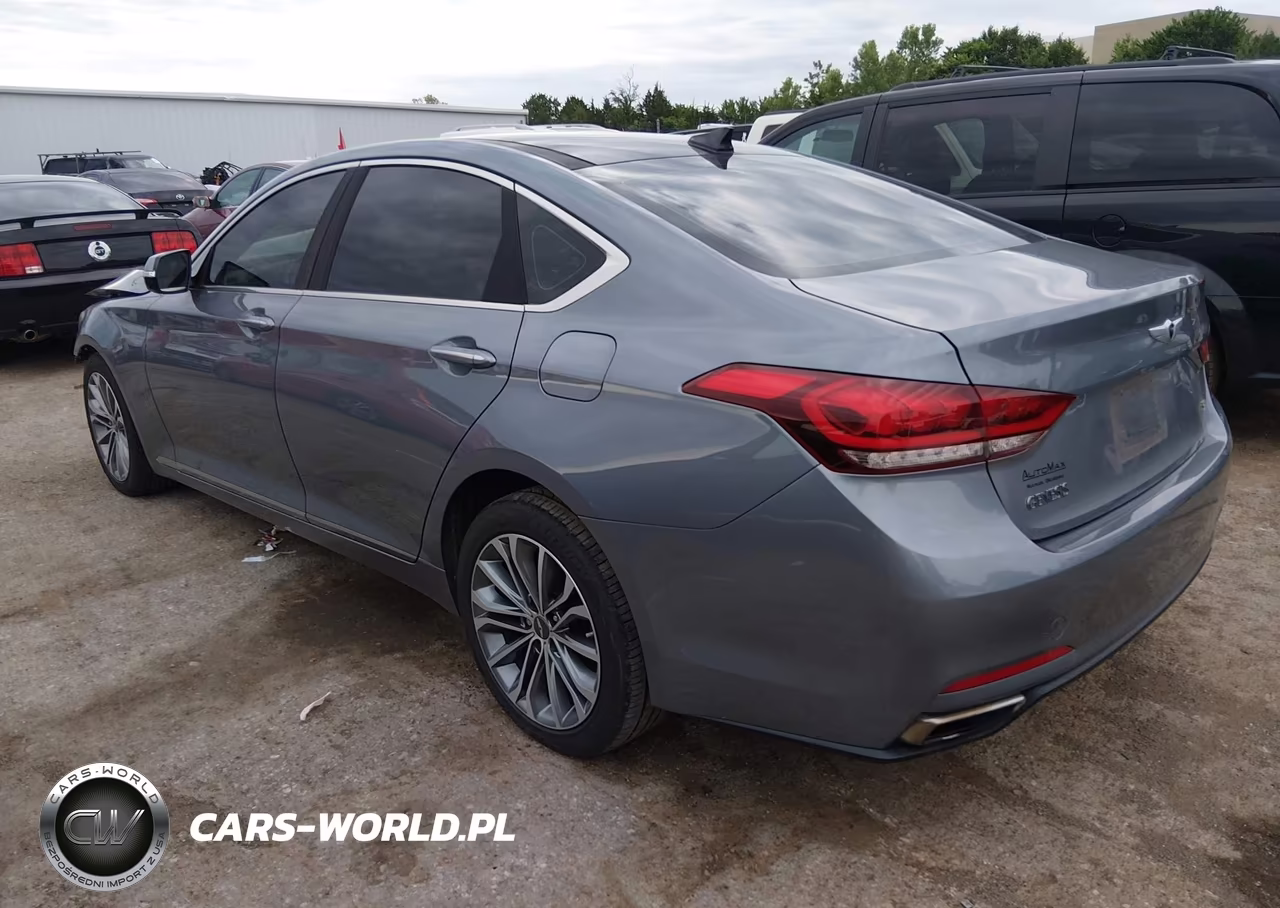 2015 Hyundai Genesis 3.8 VIN:KMHGN4JE1FU015203 - 3