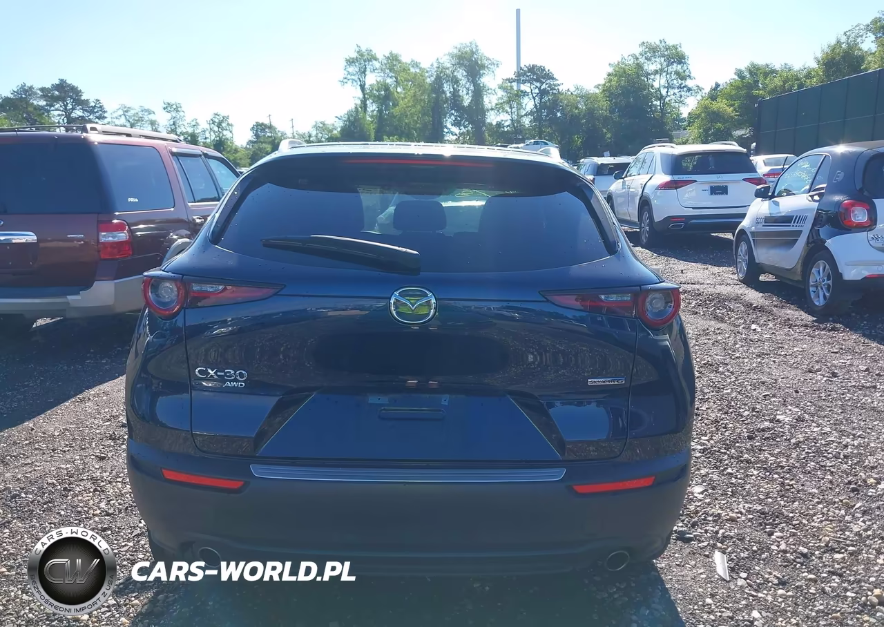 2025 Mazda Cx-30 2.5 S Preferred Package VIN:3MVDMBCMXSM856842 - 16