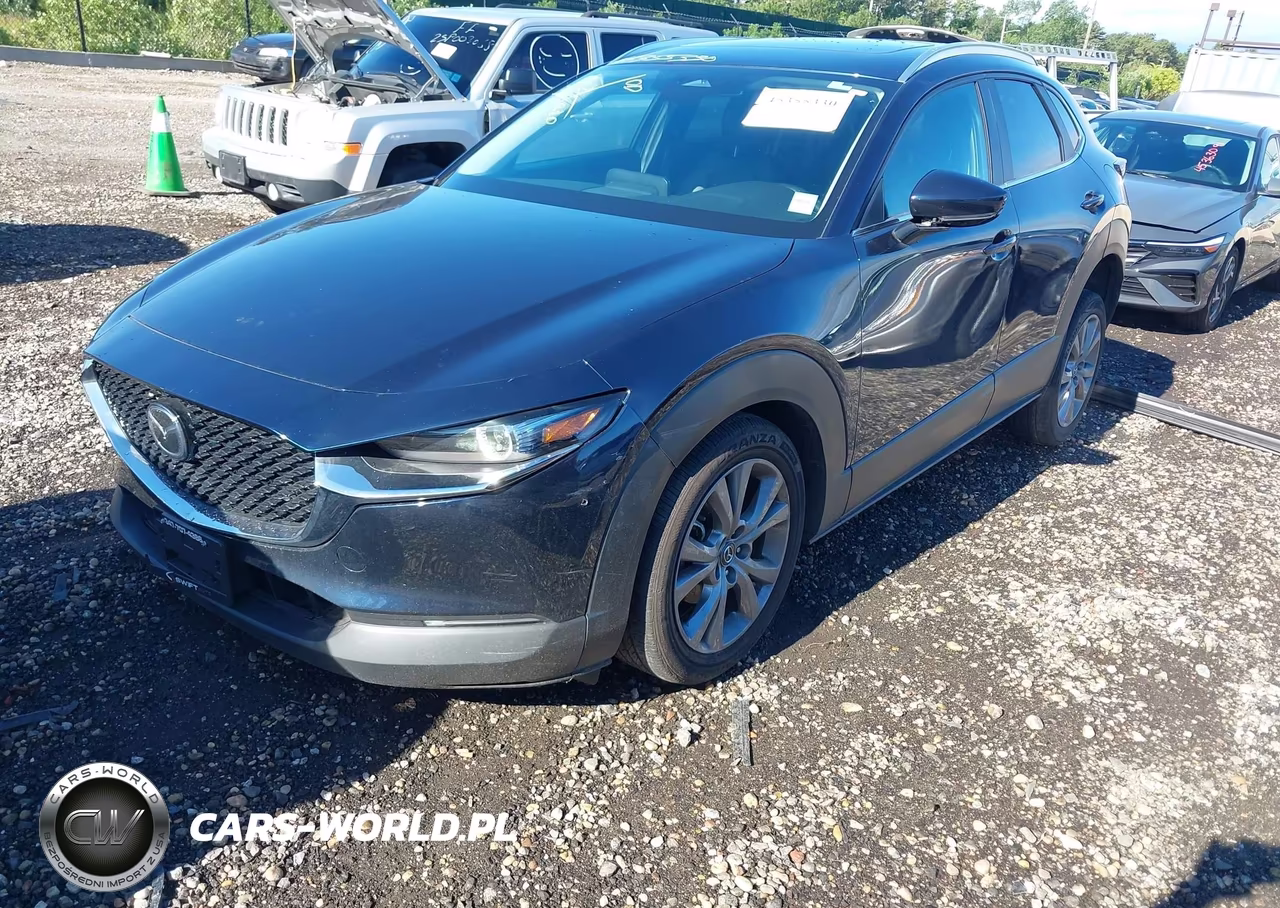 2025 Mazda Cx-30 2.5 S Preferred Package VIN:3MVDMBCMXSM856842 - 2