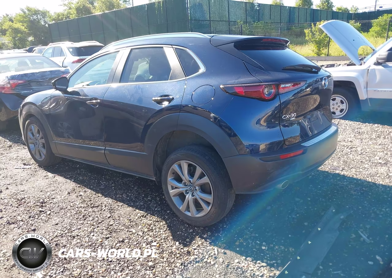 2025 Mazda Cx-30 2.5 S Preferred Package VIN:3MVDMBCMXSM856842 - 3