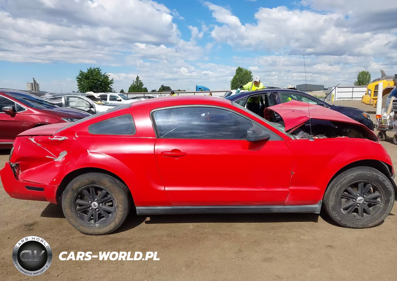 2006 Ford Mustang V6 VIN:1ZVFT80N665114024 - 14