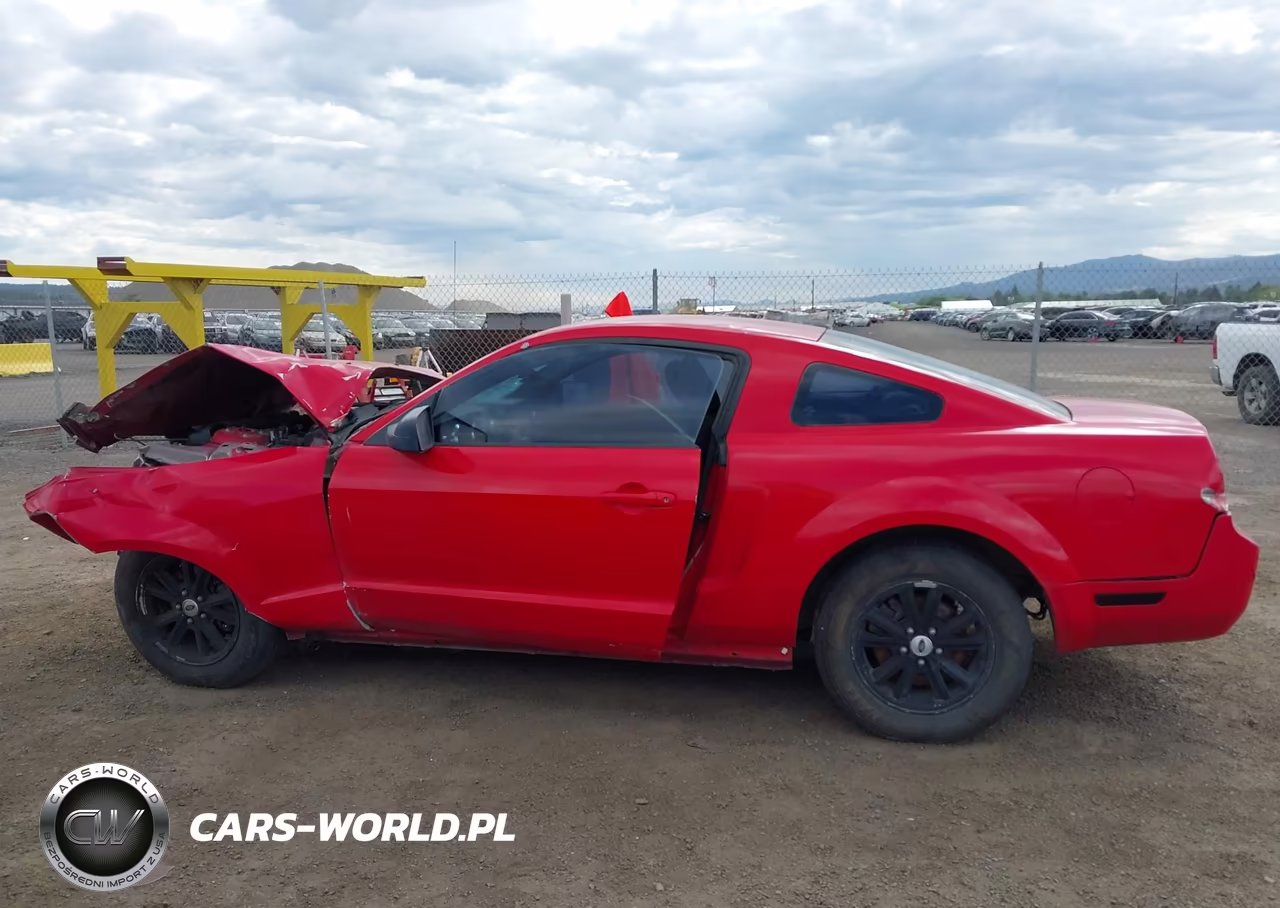 2006 Ford Mustang V6 VIN:1ZVFT80N665114024 - 15