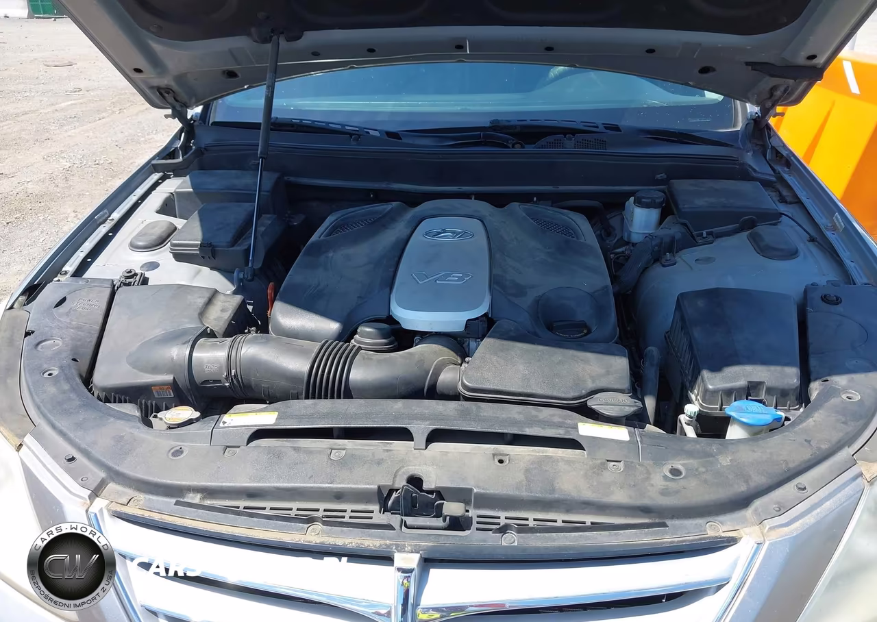 2009 Hyundai Genesis 4.6 VIN:KMHGC46F29U055298 - 10