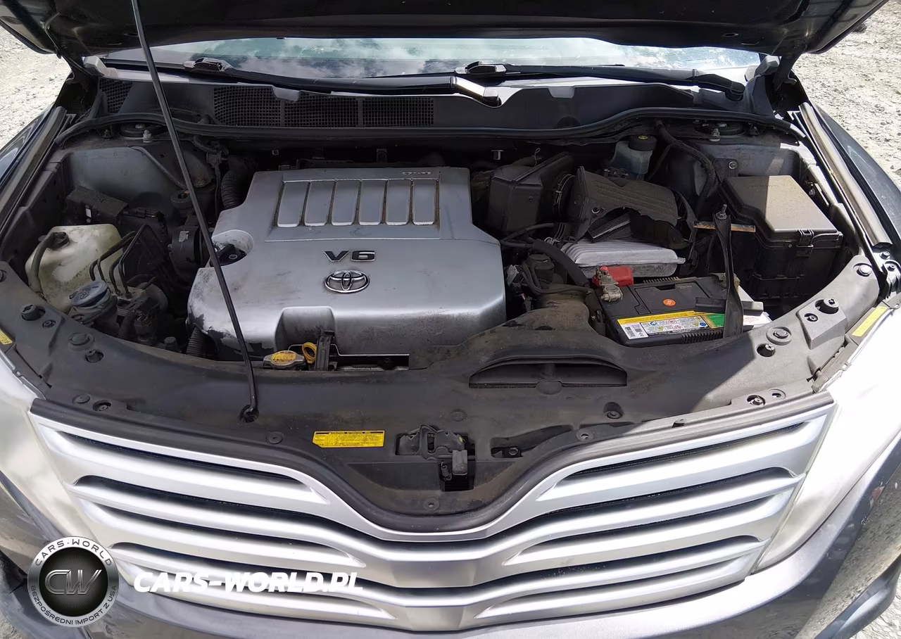 2010 Toyota Venza Base V6 VIN:4T3BK3BB1AU044024 - 10