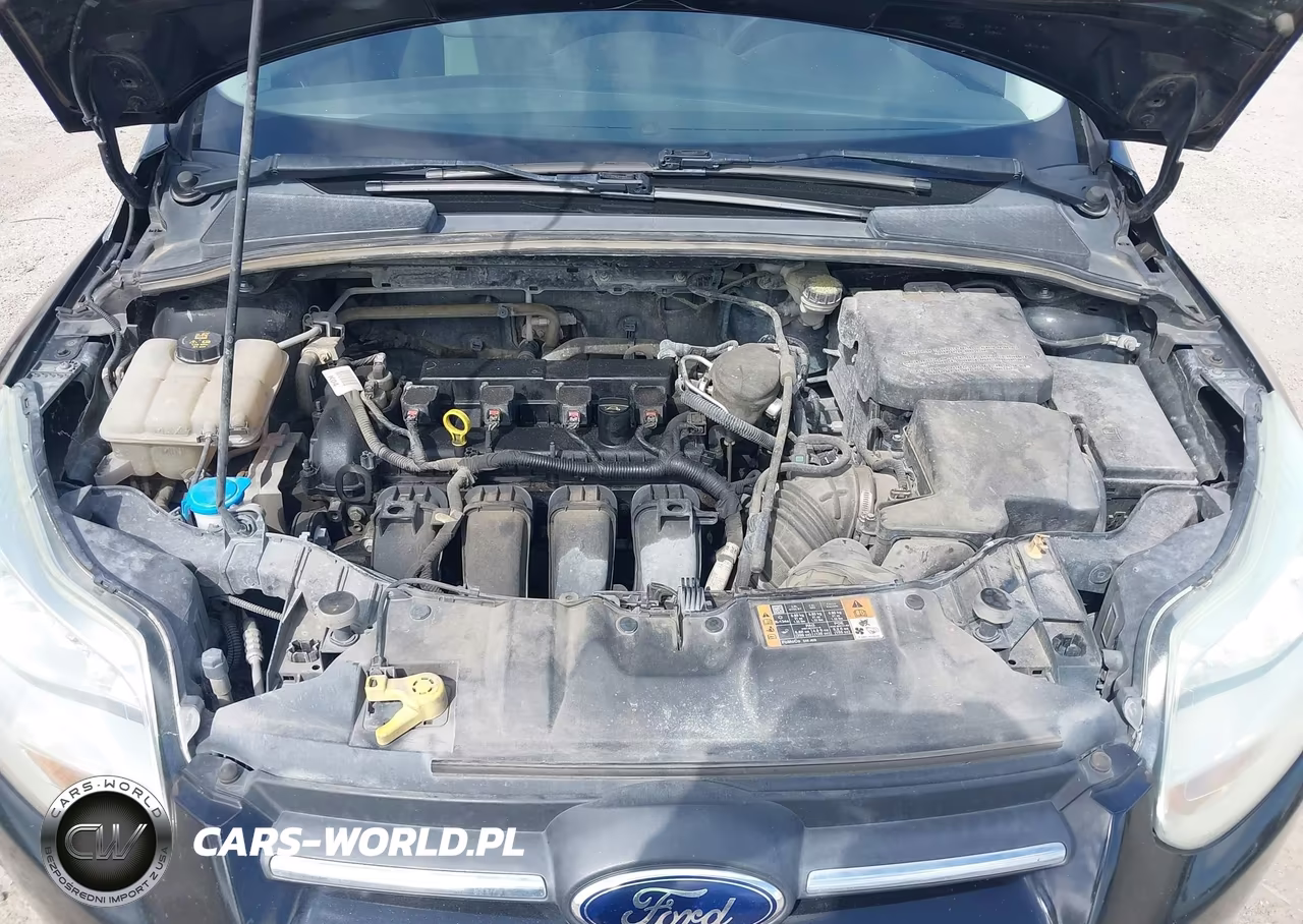 2014 Ford Focus Se VIN:1FADP3K28EL389799 - 10