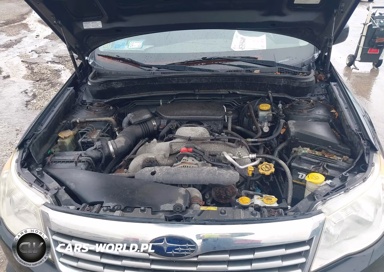 2010 Subaru Forester 2.5X Premium VIN:JF2SH6CC9AH725417 - 10