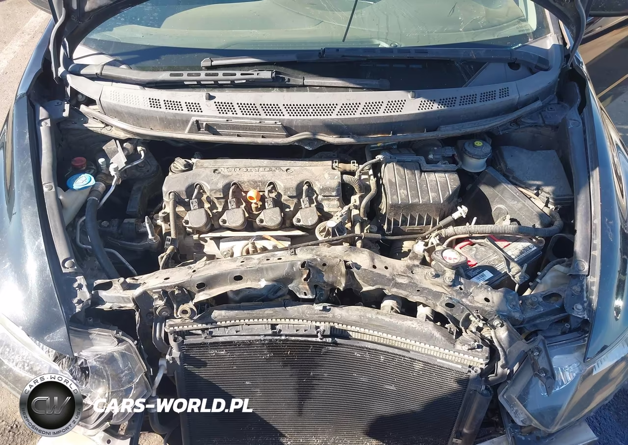 2010 Honda Civic Lx VIN:2HGFG1B63AH503730 - 10