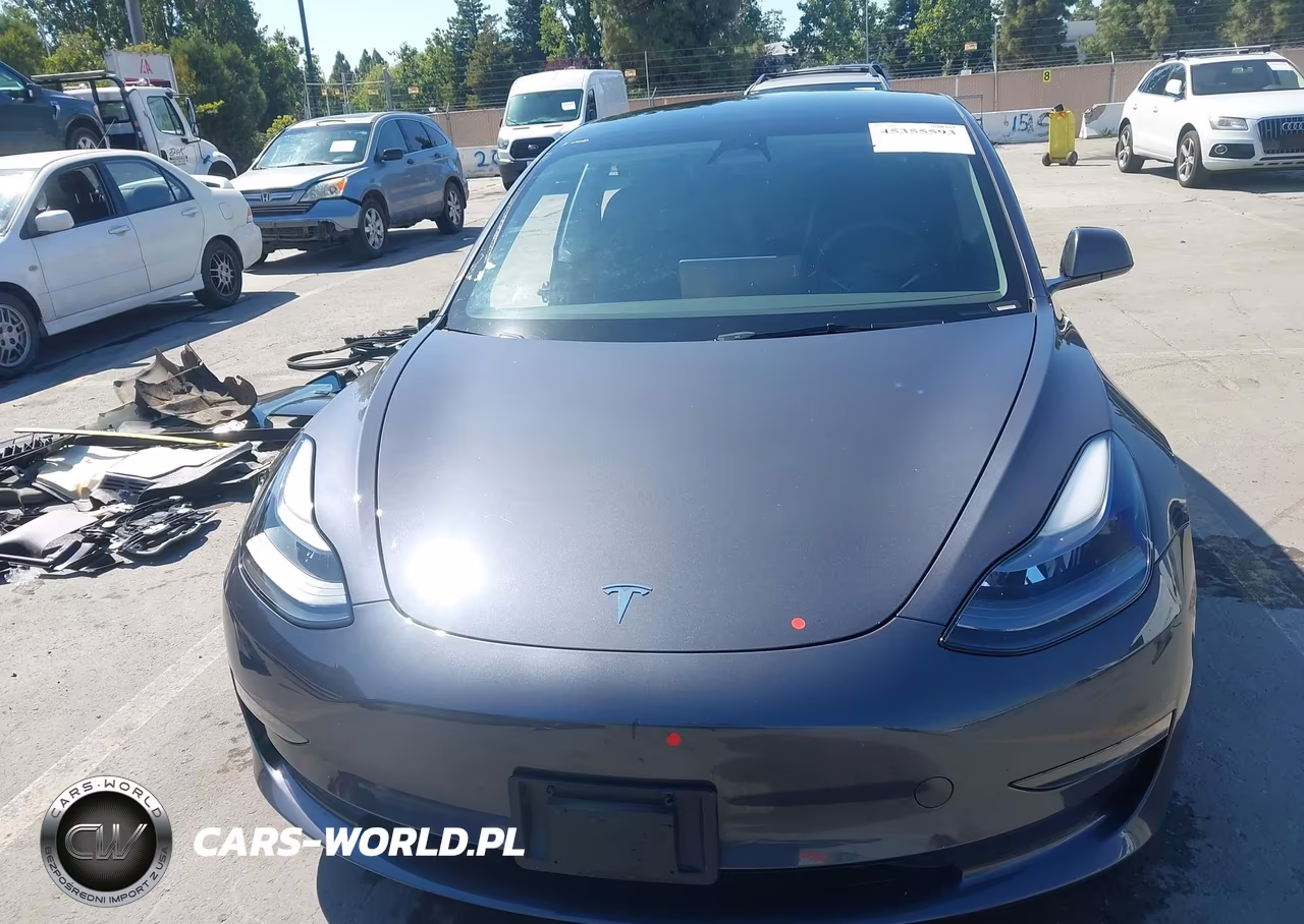 2023 Tesla Model 3 Long Range Dual Motor All-Wheel Drive VIN:5YJ3E1EB2PF689064 - 13