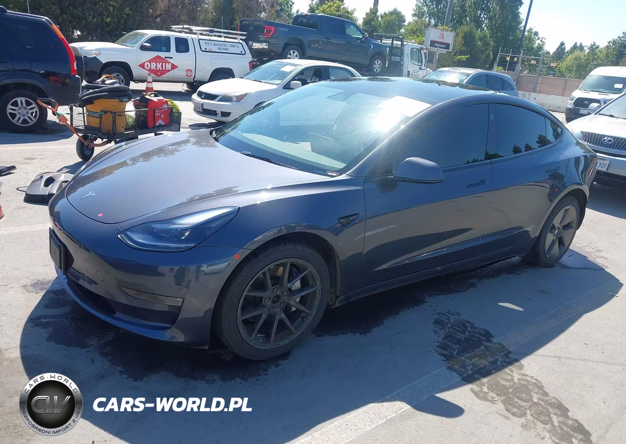 2023 Tesla Model 3 Long Range Dual Motor All-Wheel Drive VIN:5YJ3E1EB2PF689064 - 2