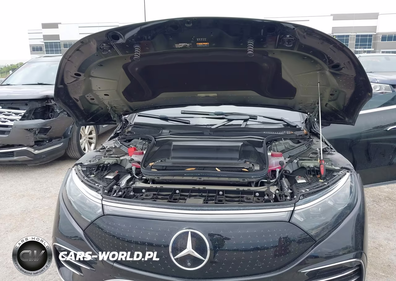 2023 Mercedes-Benz Eqs 450+ VIN:W1KCG2DB1PA025581 - 10