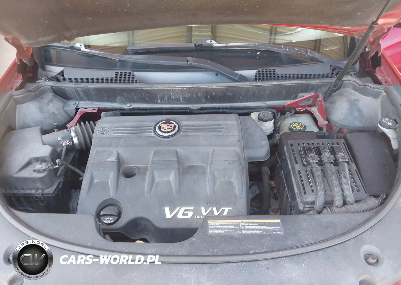 2011 Cadillac Srx Luxury Collection VIN:3GYFNDEY2BS546189 - 10