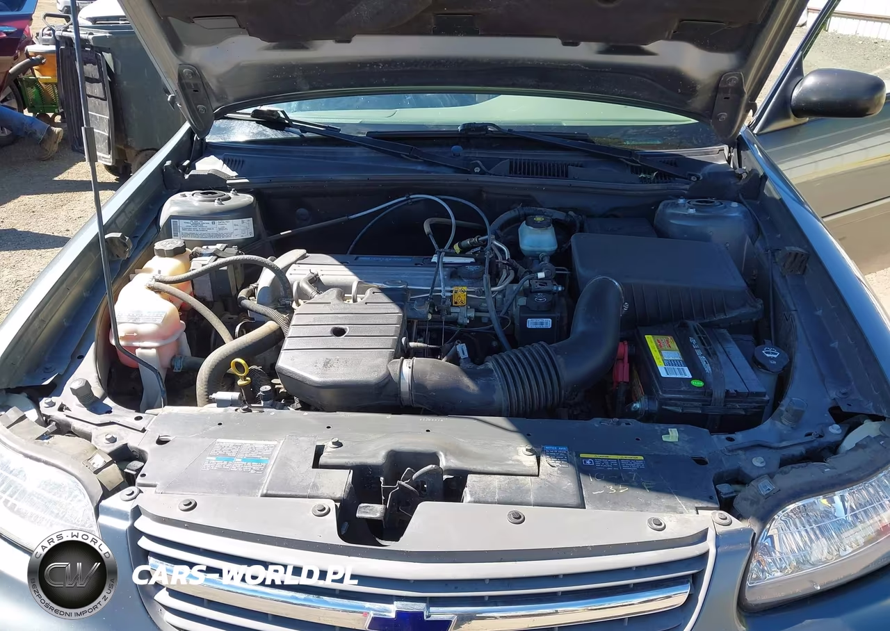 2005 Chevrolet Classic VIN:1G1ND52F35M198042 - 10