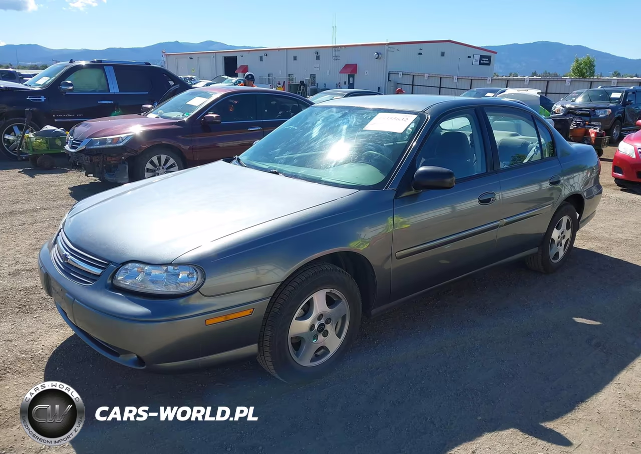 2005 Chevrolet Classic VIN:1G1ND52F35M198042 - 2