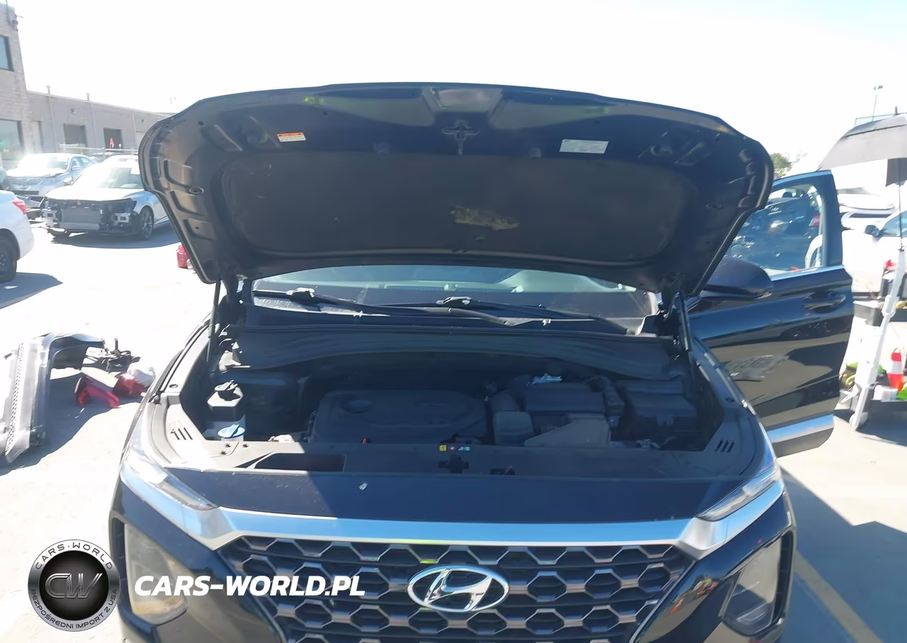 2020 Hyundai Santa Fe Sel VIN:5NMS33AD0LH265007 - 10