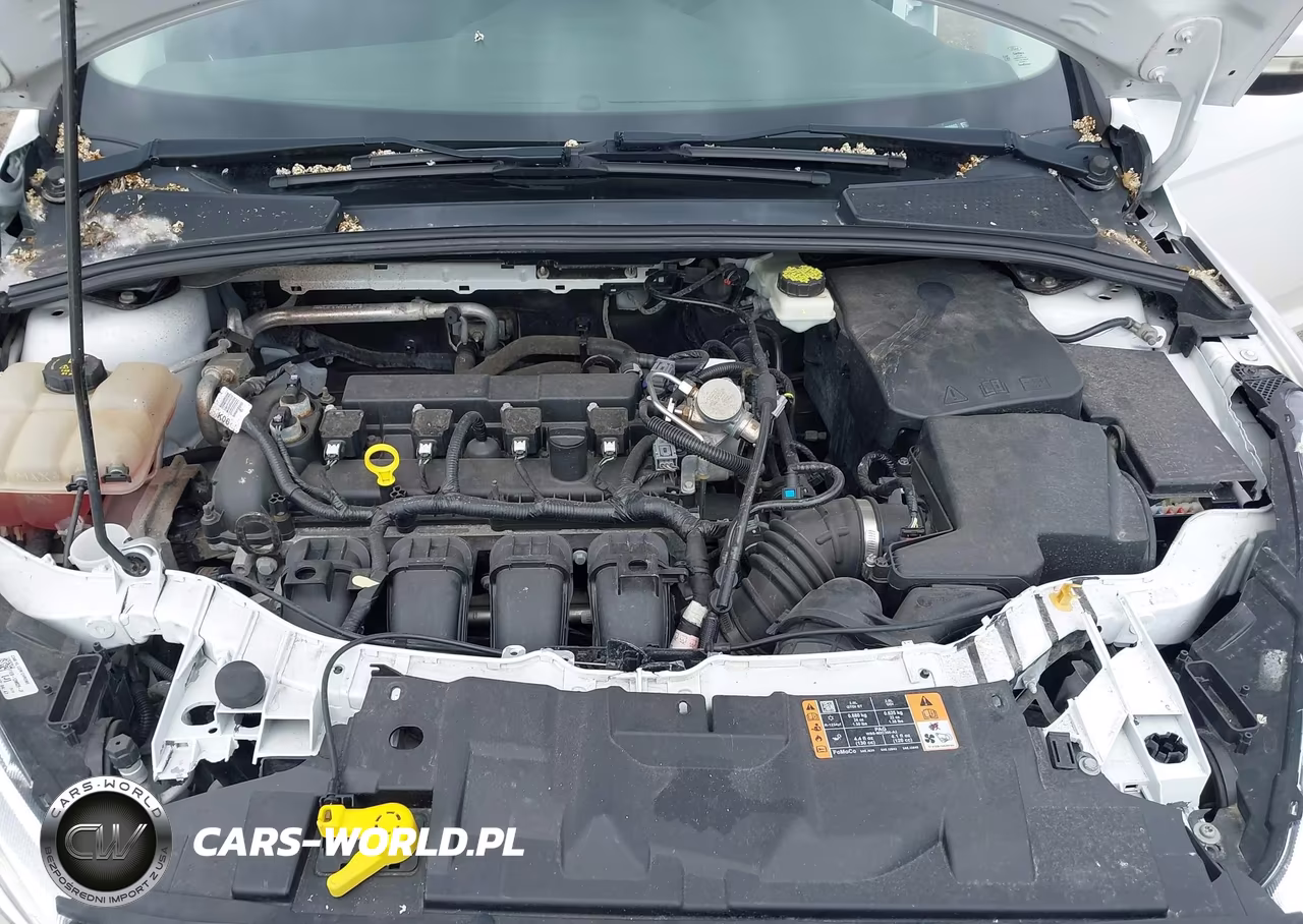 2017 Ford Focus Se VIN:1FADP3K23HL299092 - 10
