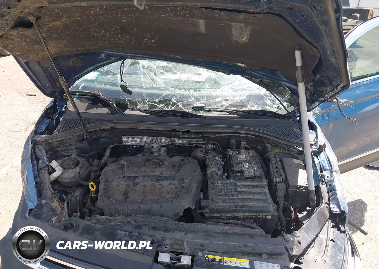 2019 Volkswagen Tiguan 2.0T Se-2.0T Sel-2.0T Sel R-Line-2.0T Sel R-Line Black VIN:3VV2B7AX8KM016195 - 10