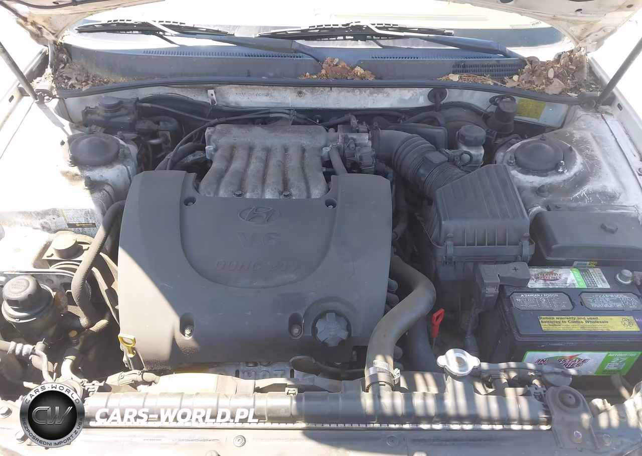 2004 Hyundai Sonata Gls-Lx VIN:KMHWF35H64A005286 - 10