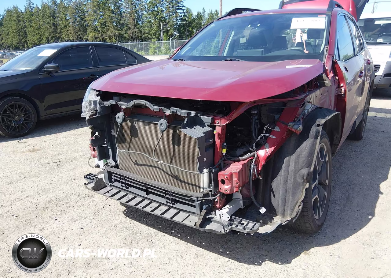 2019 Toyota Rav4 Adventure VIN:2T3J1RFV0KW035516 - 19