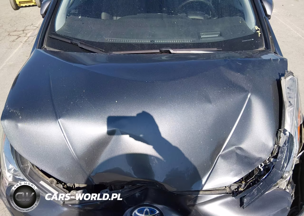 2017 Toyota Prius Four VIN:JTDKARFU0H3042814 - 10