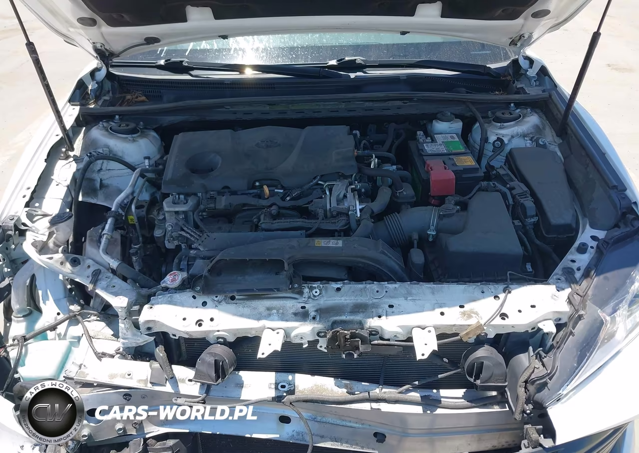2020 Toyota Camry Le VIN:4T1C11AK5LU335554 - 10