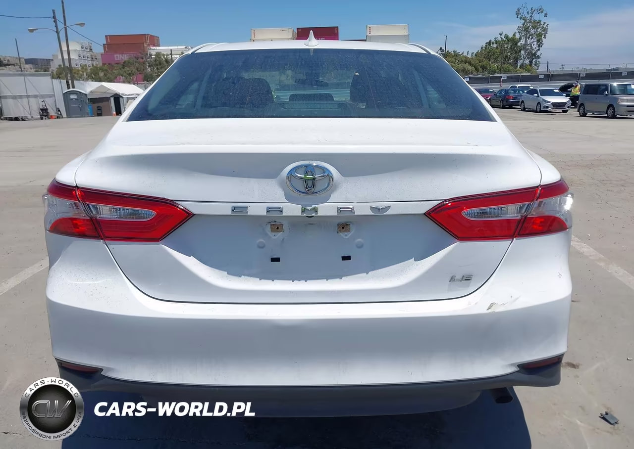 2020 Toyota Camry Le VIN:4T1C11AK5LU335554 - 17