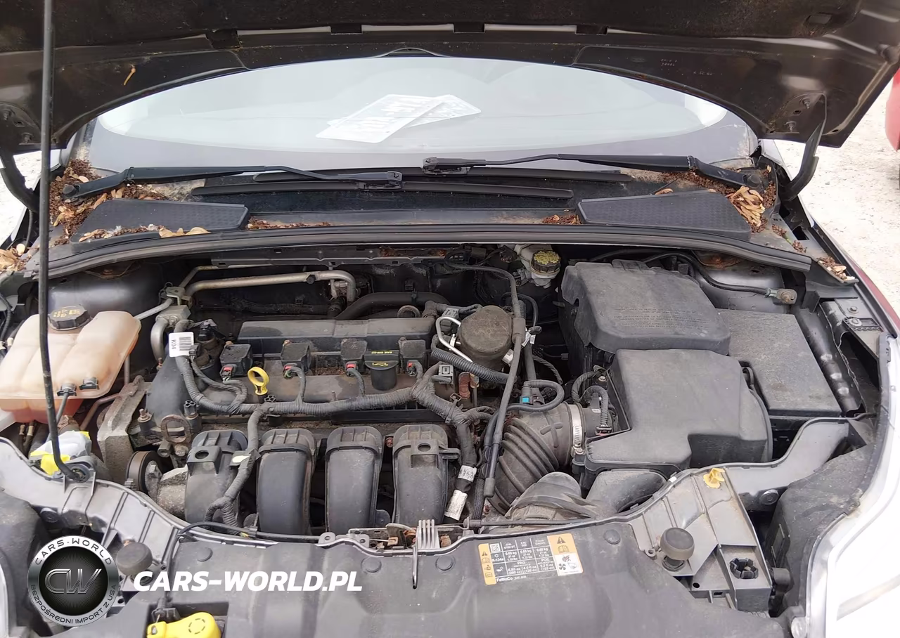 2014 Ford Focus Se VIN:1FADP3K21EL304947 - 10