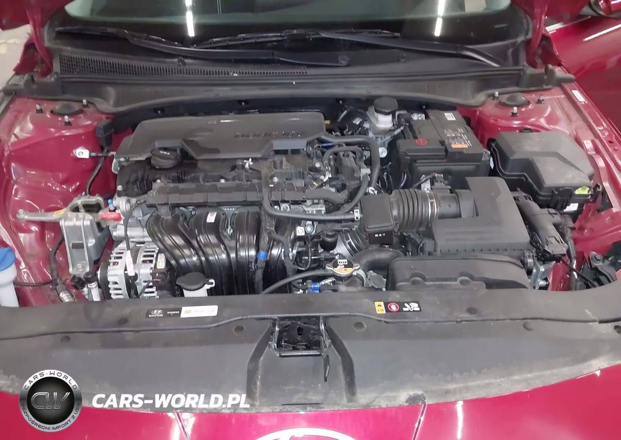 2024 Hyundai Elantra Sel VIN:KMHLS4DG6RU844115 - 10