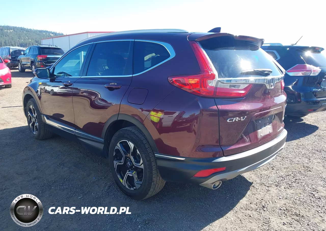 2019 Honda Cr-V Touring VIN:5J6RW2H93KL006357 - 3
