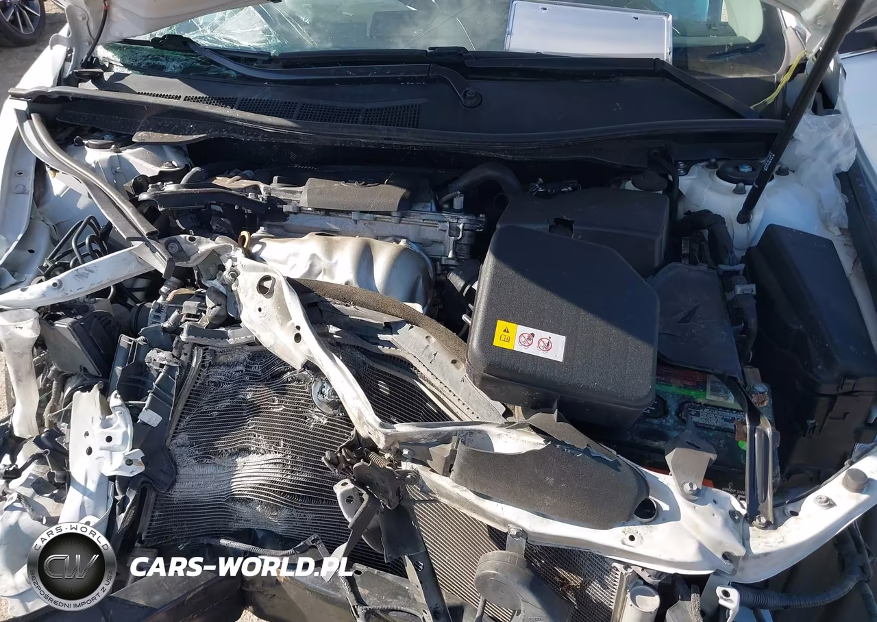 2017 Toyota Camry Se VIN:4T1BF1FK2HU341261 - 10