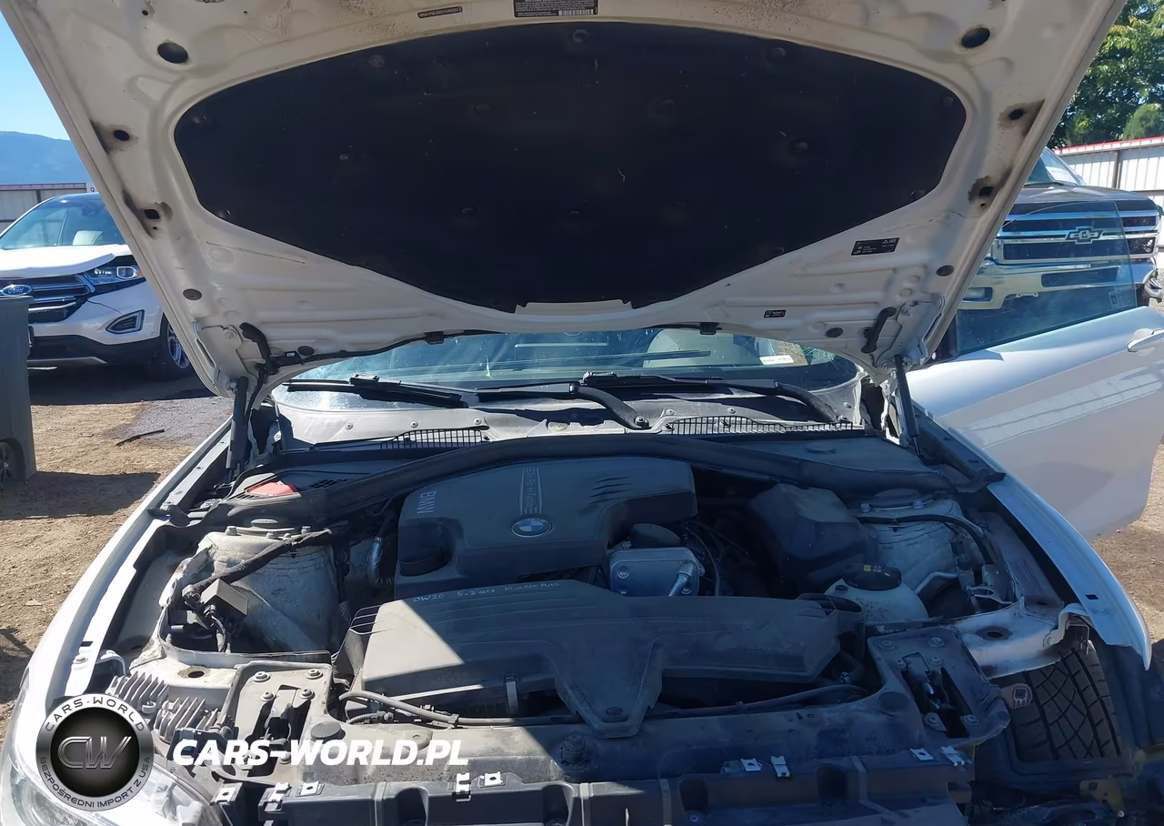 2016 BMW 228I VIN:WBA1F9C58GV545260 - 10