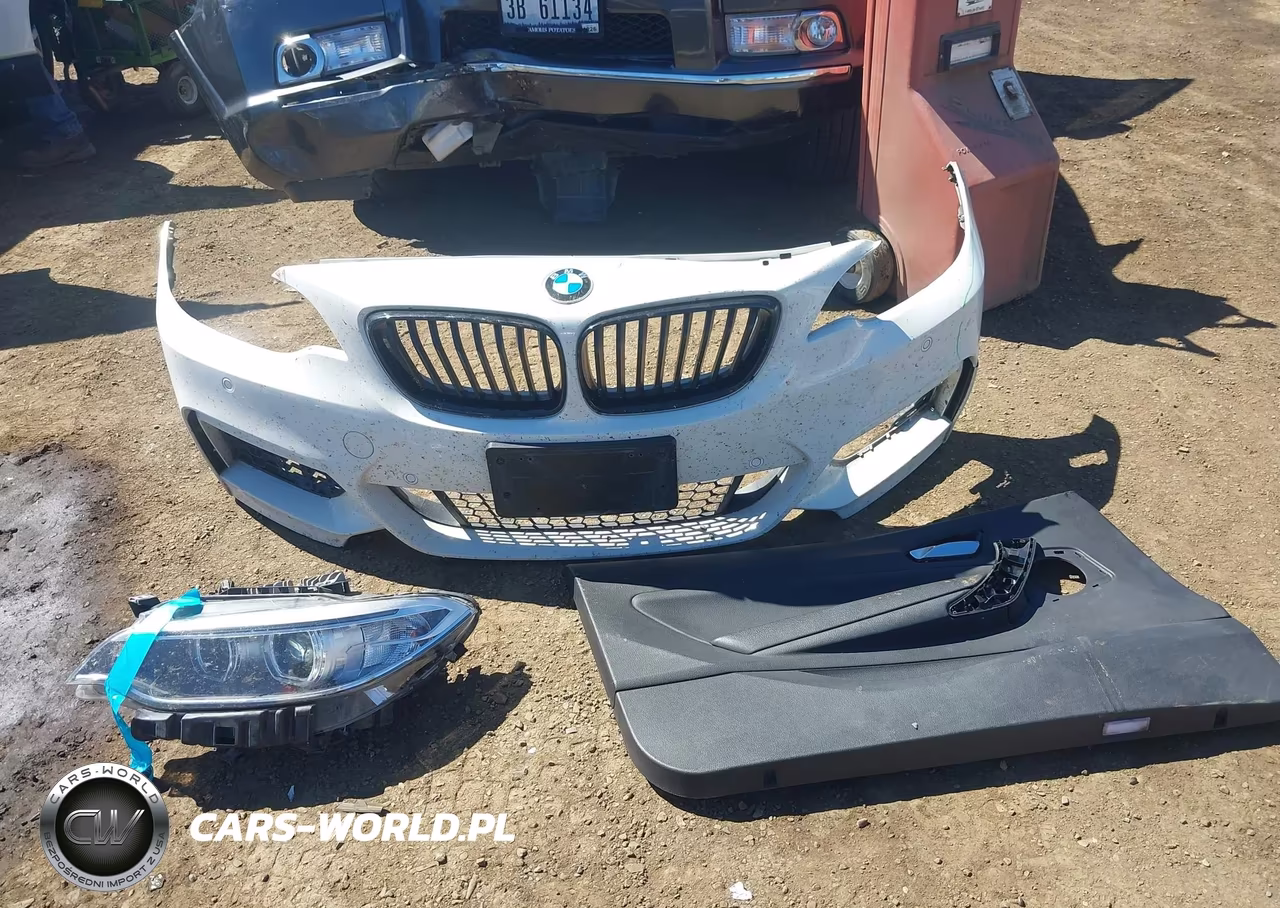 2016 BMW 228I VIN:WBA1F9C58GV545260 - 12