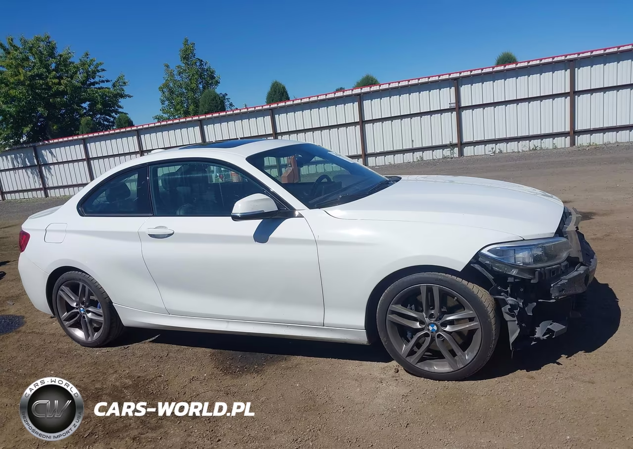 2016 BMW 228I VIN:WBA1F9C58GV545260 - 14