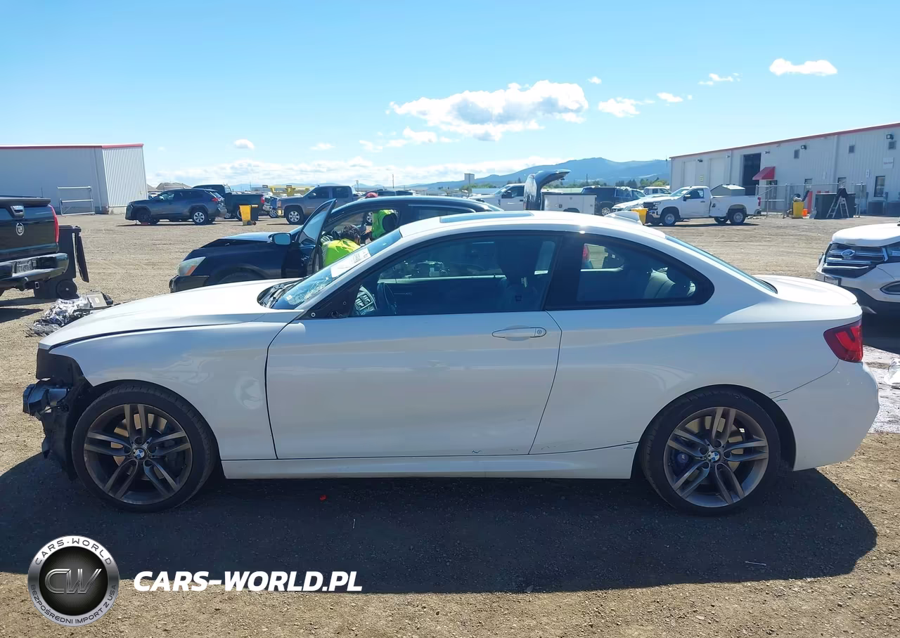 2016 BMW 228I VIN:WBA1F9C58GV545260 - 15