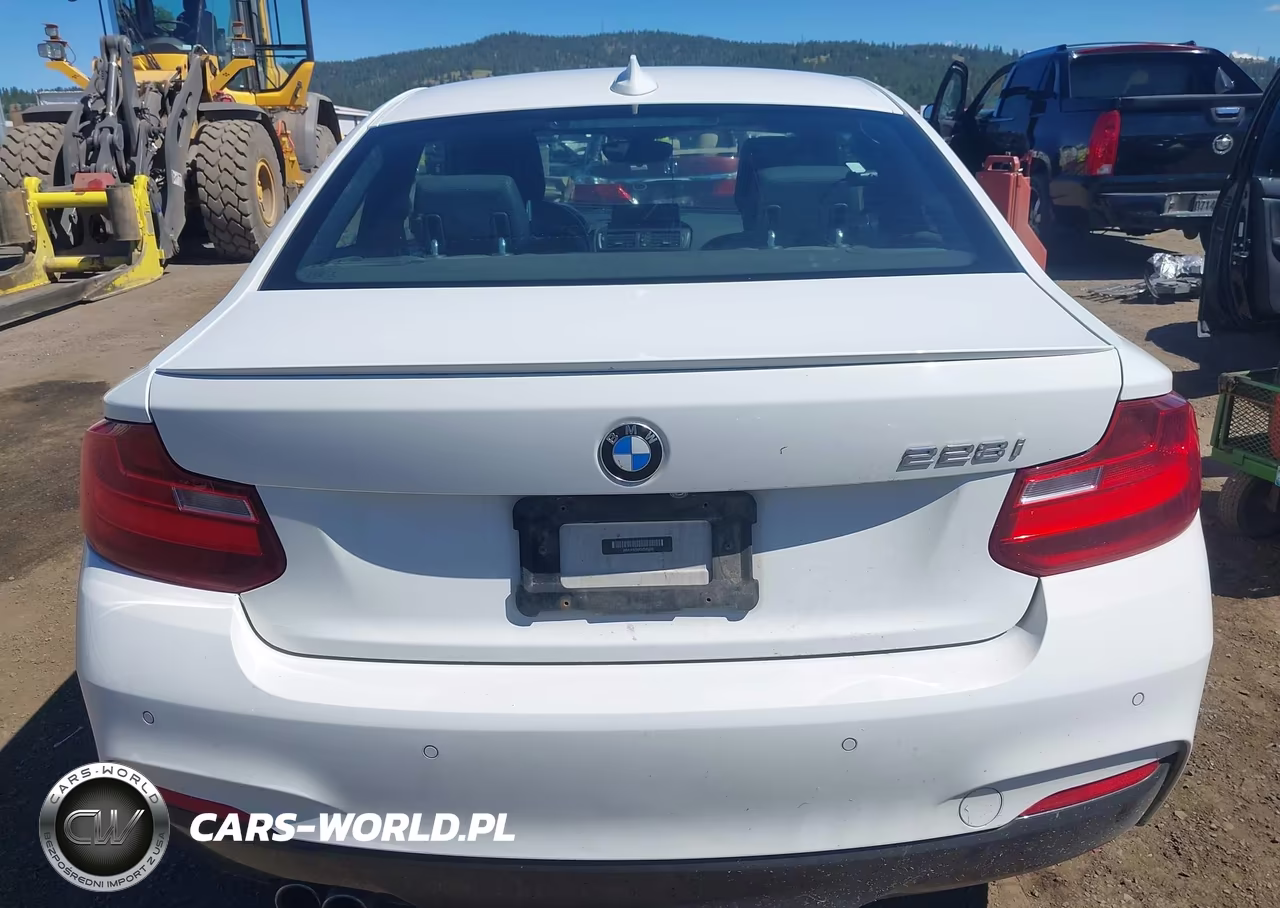 2016 BMW 228I VIN:WBA1F9C58GV545260 - 17