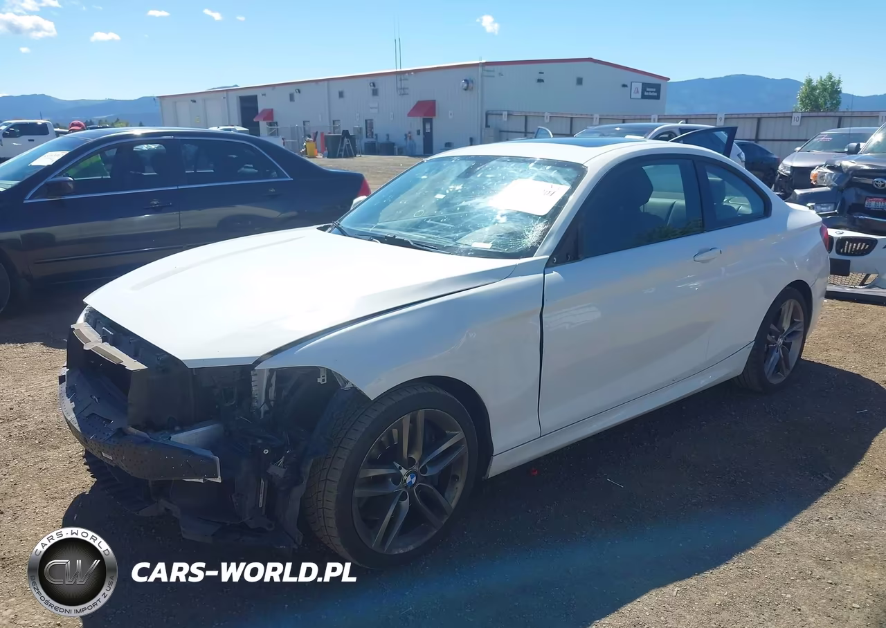 2016 BMW 228I VIN:WBA1F9C58GV545260 - 2