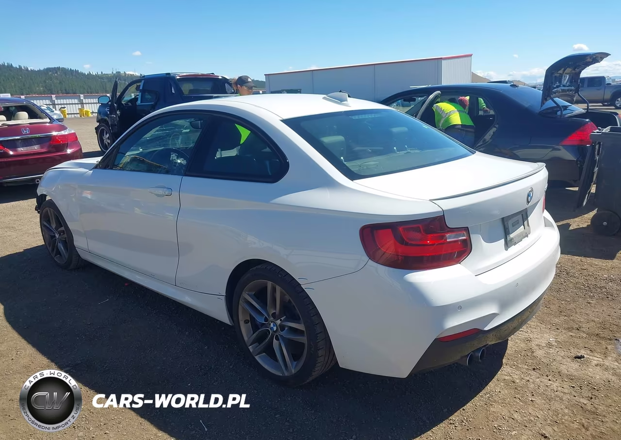 2016 BMW 228I VIN:WBA1F9C58GV545260 - 3