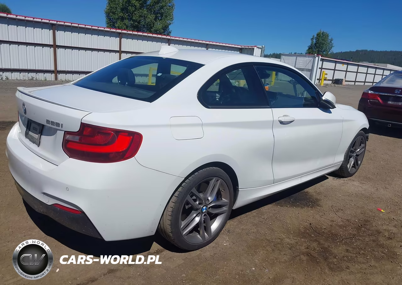2016 BMW 228I VIN:WBA1F9C58GV545260 - 4