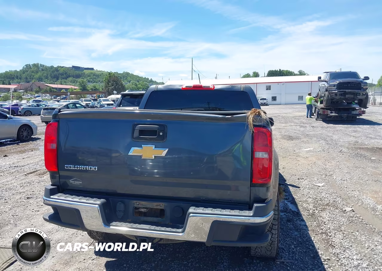 2016 Chevrolet Colorado Wt VIN:1GCGTBE3XG1365178 - 16