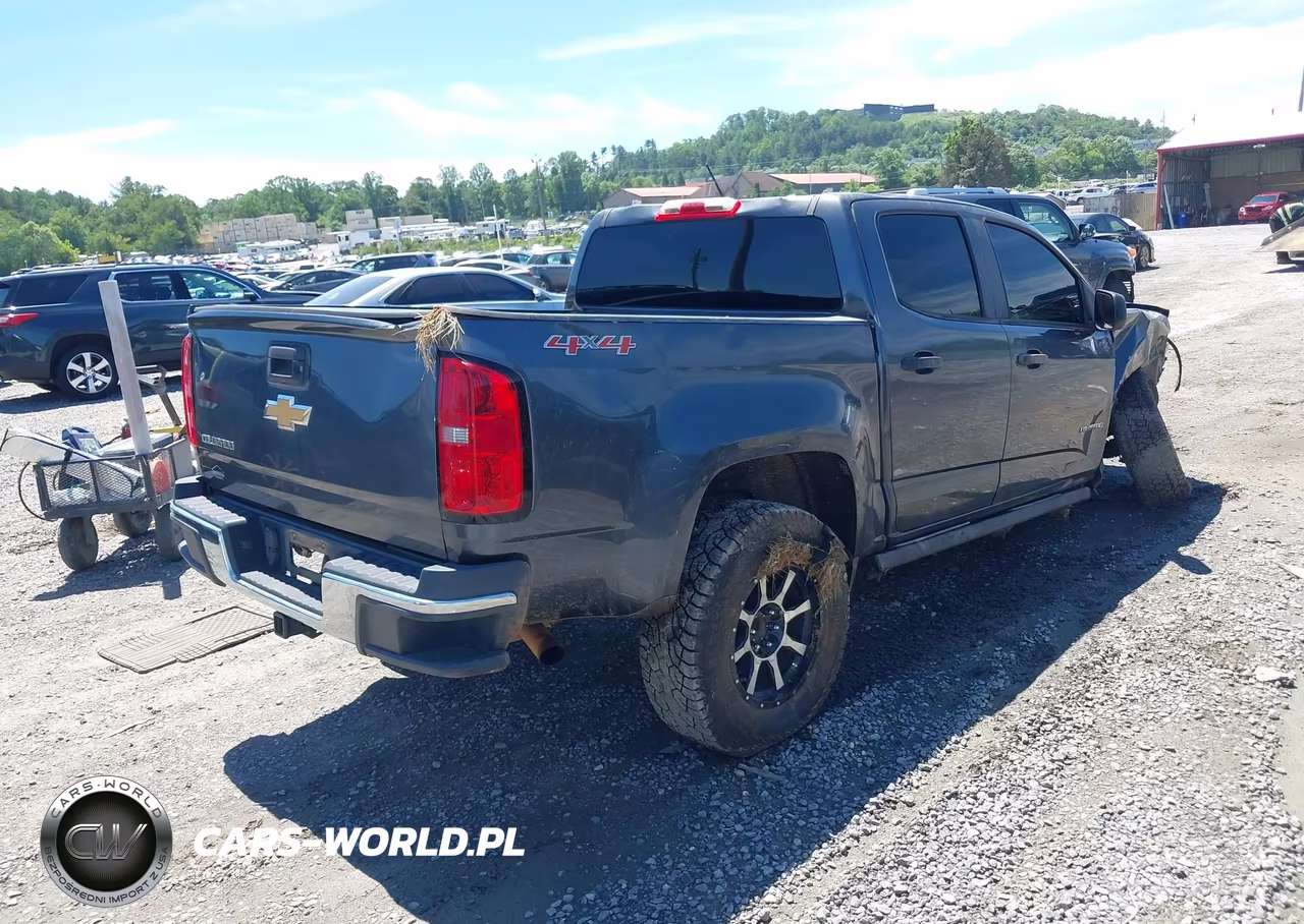 2016 Chevrolet Colorado Wt VIN:1GCGTBE3XG1365178 - 4