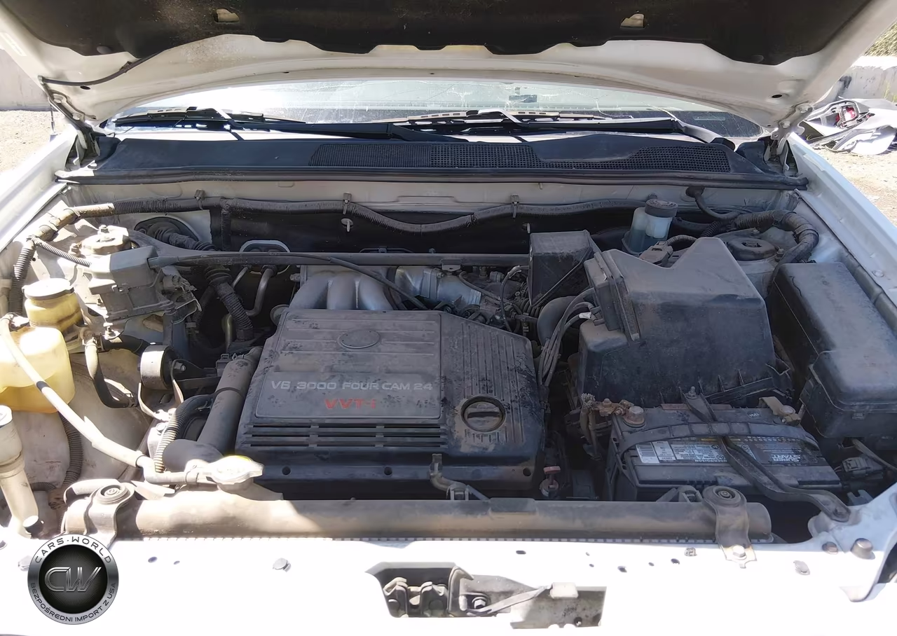 2002 Toyota Highlander V6 VIN:JTEGF21A020032168 - 10