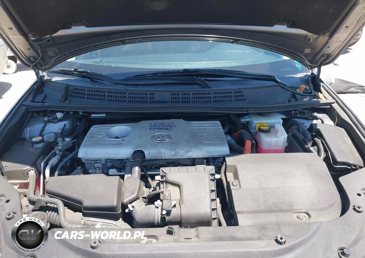 2013 Lexus Ct 200H VIN:JTHKD5BH2D2170205 - 10