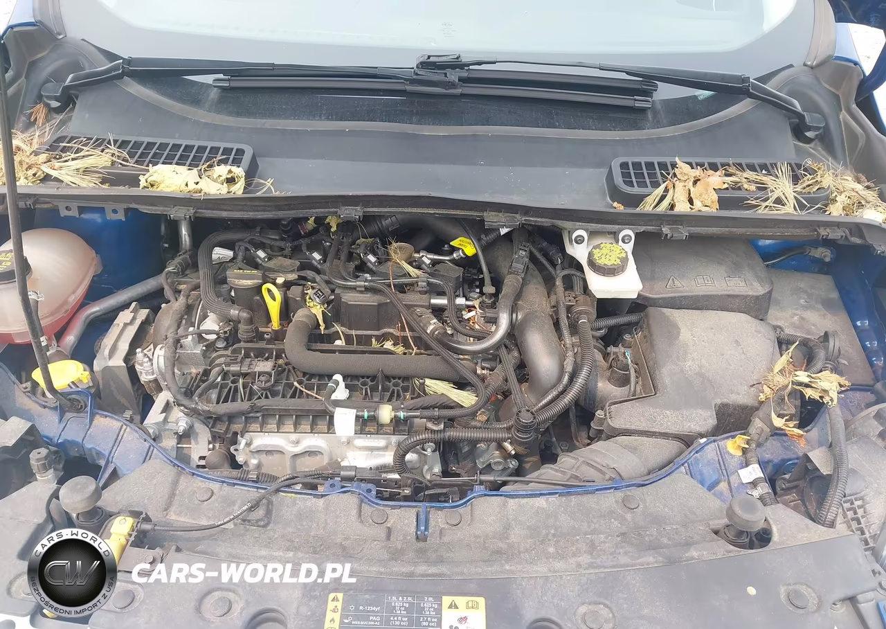 2019 Ford Escape Se VIN:1FMCU9GD6KUA23398 - 10