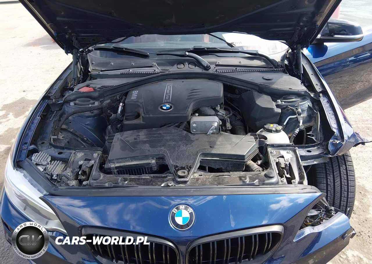 2015 BMW 228I VIN:WBA1F5C53FV257041 - 10